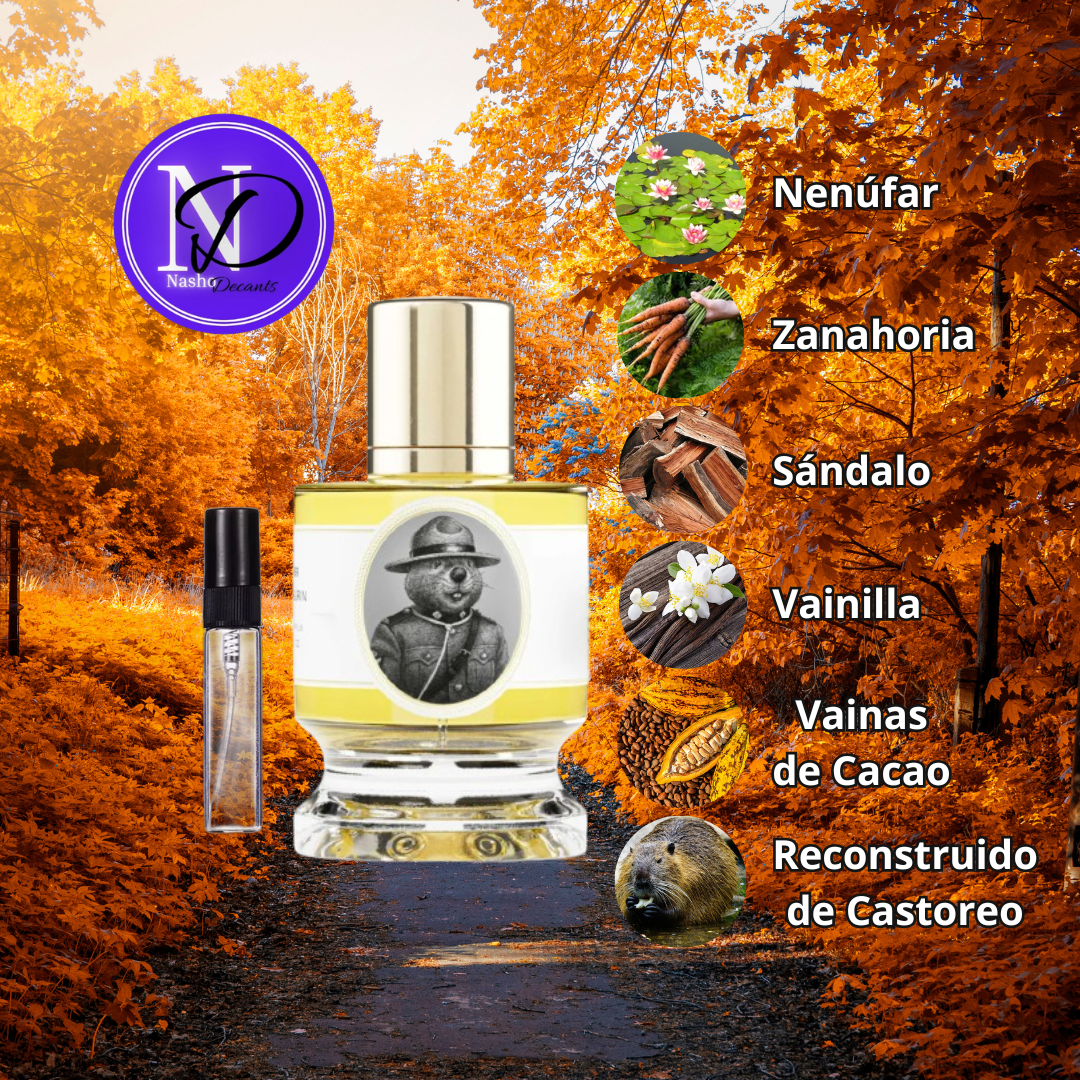 Decant Beaver Maple Edition Zoologist
