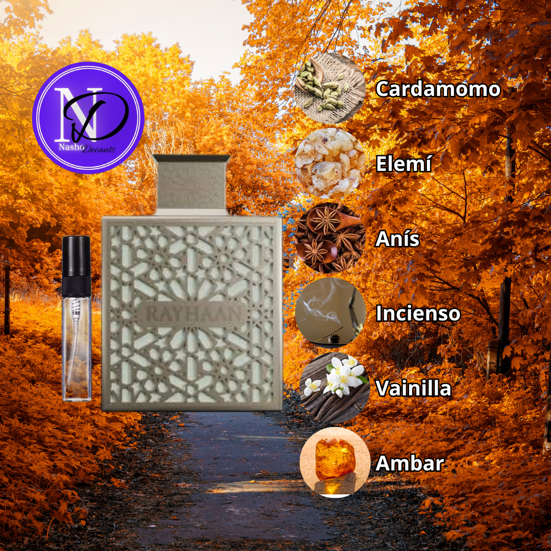 Decant Rayhaan Terra (Amouage Outlands)